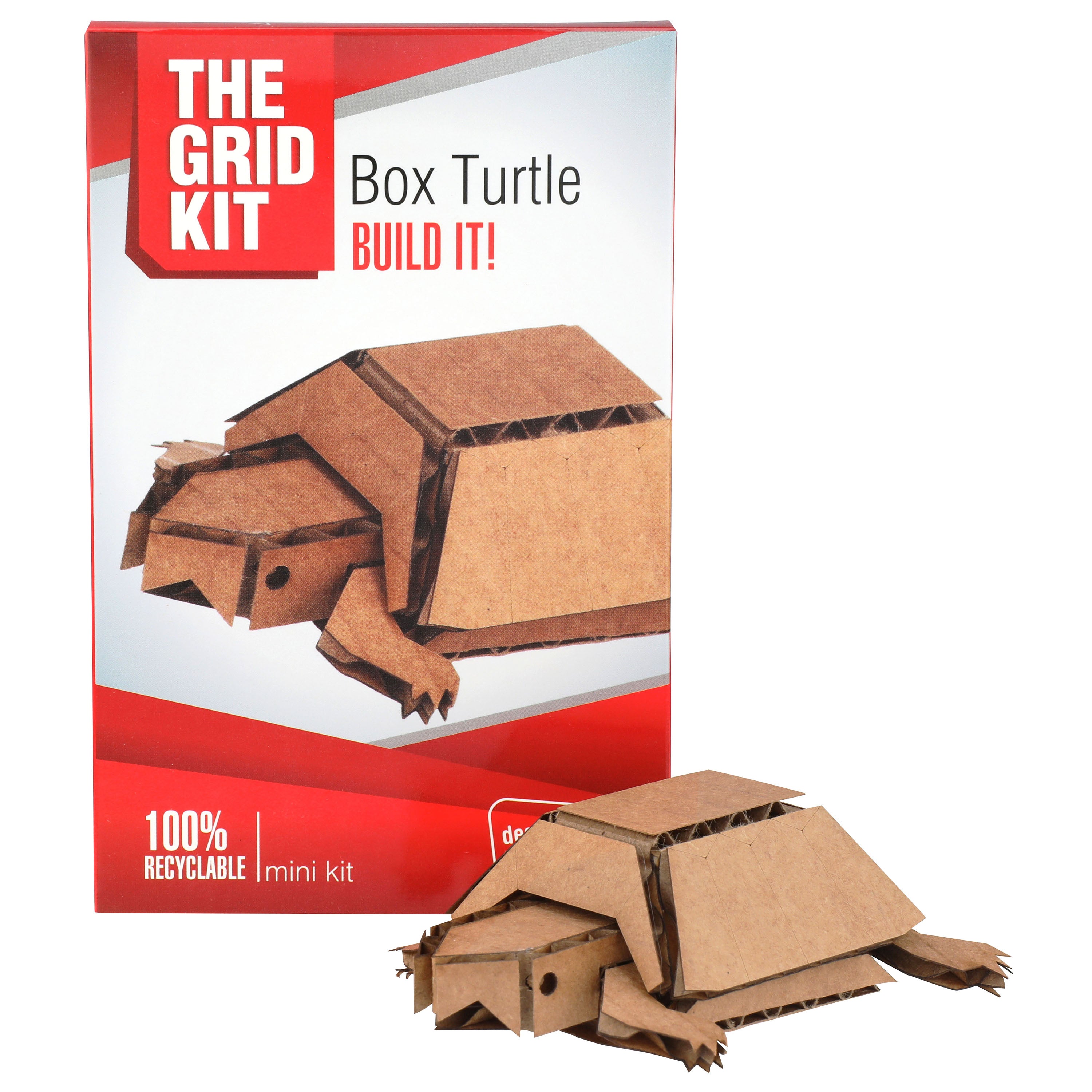 Box Turtle - Mini Kit